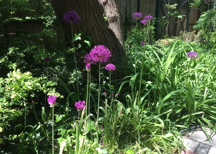 Malibu Park * Odessa